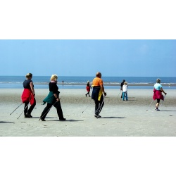 Składane kije trekingowe kijki do nordic walking 2szt + 4 końcówki