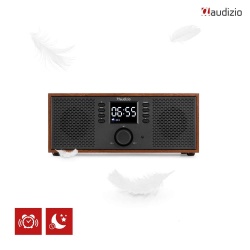 Radio internetowe Dab+ Bluetooth Rimini Audizio Stereo WiFi białe czarne brązowe