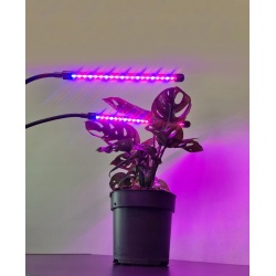 Lampa do wzrostu uprawy roślin 2x 20 LED wspomaga fotosyntezę