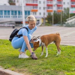 Woreczki na psie kupy odchody worki zestaw 1000 sztuk