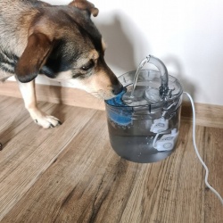 Włączona pompka w nocy nie obudzi dziecka, a zwierzę będzie miało zawsze dostęp do bieżącej wody.