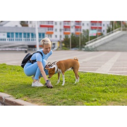 Podkłady Higieniczne 100 sztuk 60x40cm Maty dla Psa worki na kupy